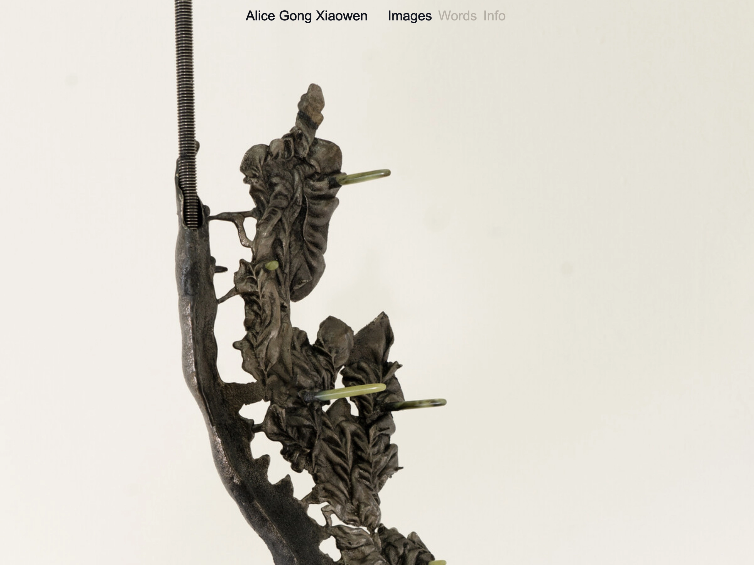 alicegong.com, Bryant Wells
